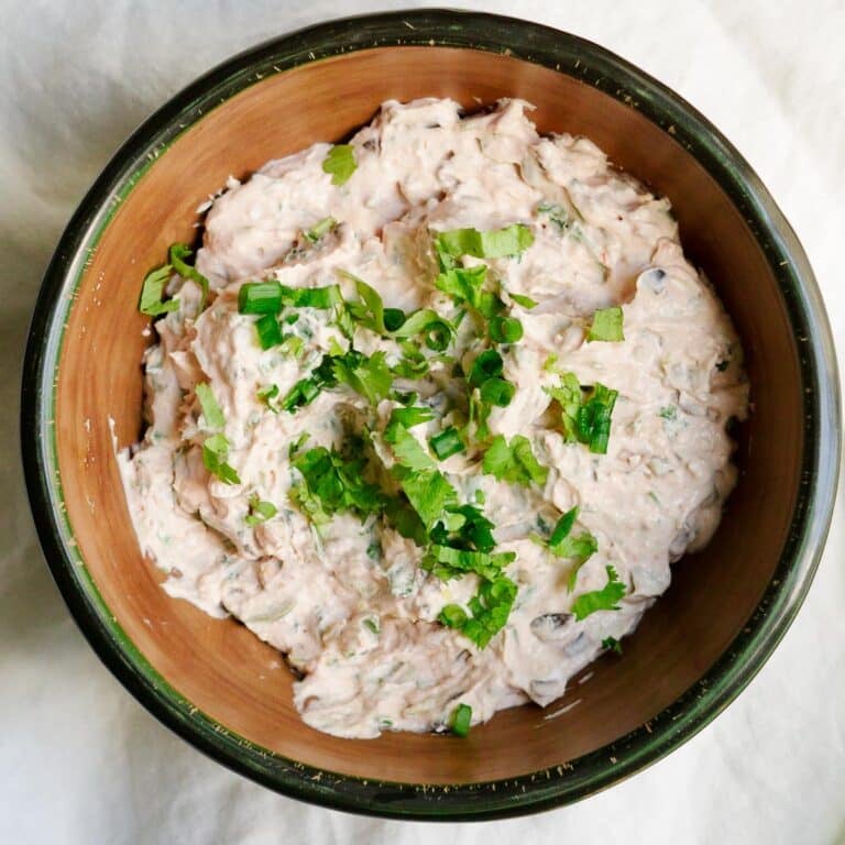 Cream Cheese Salsa Dip garnished with cilantro and green onions