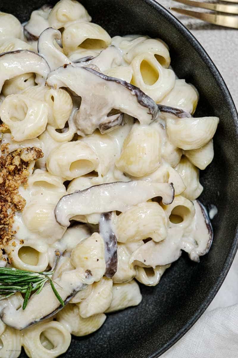 creamy mushroom pasta